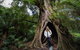 Two Day Melbourne To Adelaide Tour - Great Ocean Road & Grampians - thumb 4
