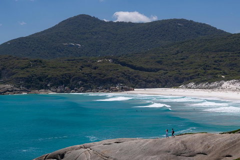 Wilson's Promontory Small Group Eco Tour From Melbourne - Attractions Sydney 0