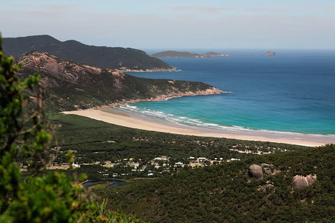 Wilson's Promontory Small Group Eco Tour From Melbourne - Attractions Sydney 4