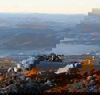 Mt. Wellington Bonorong and Richmond Day Tour from Hobart - Attractions Sydney