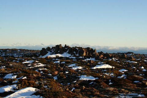 Mt. Wellington, Bonorong And Richmond Day Tour From Hobart - Attractions Sydney 5