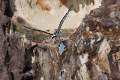 North Stradbroke Island Private Tour With Pickup - Attractions Sydney 2