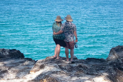 North Stradbroke Island Private Tour With Pickup - Attractions Sydney 4