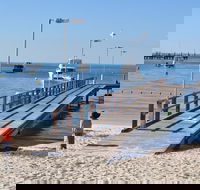 Monkey Mia Dolphins  Shark Bay Air Tour From Perth - Attractions Sydney