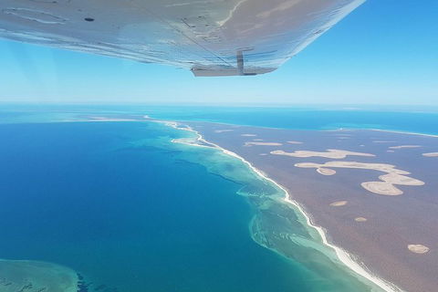 Monkey Mia Dolphins & Shark Bay Air Tour From Perth - Attractions Sydney 2