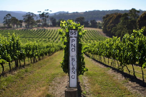 The Ultimate Yarra Valley Food And Wine Small Group Tour (Max 6 Guests) - Attractions Sydney 2