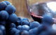 The Ultimate Yarra Valley Food And Wine Small Group Tour (Max 6 Guests) - thumb 3