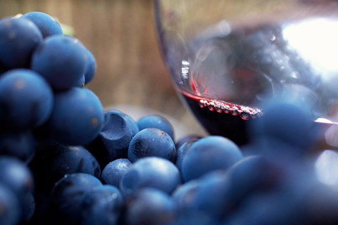 The Ultimate Yarra Valley Food And Wine Small Group Tour (Max 6 Guests) - Attractions Sydney 3