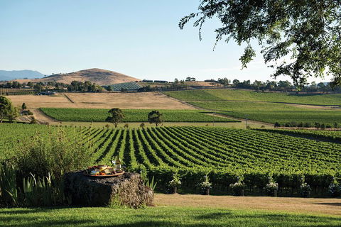 Small Group 6 Guests: Ultimate Yarra Valley Food And Wine - Mercedes Van - Attractions Sydney 4