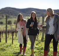 Yarra Valley 2-6 guests Premium Food and Wine inc Lunch at Dominique Portet - Attractions Sydney