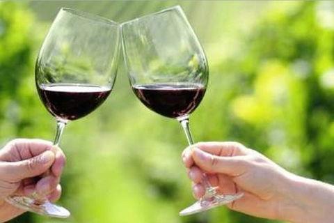 Yarra Valley Premium Tour Inc Lunch And Cheese And Wine Pairing At De Bortoli - Attractions Sydney 5