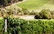 Yarra Valley Premium Tour Inc Lunch And Cheese, Chocolate Fondue At Rochford - thumb 5