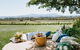 Yarra Valley Premium Tour Lunch And Sparkling Wine Tasting At Domaine Chandon - thumb 4