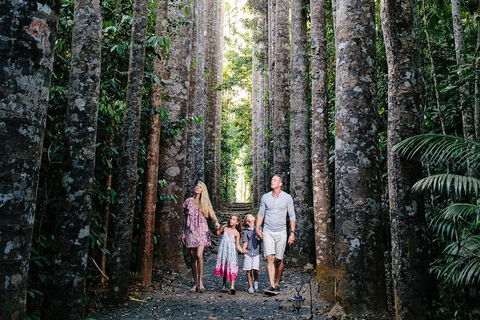 The Original Day Tour To Paronella Park, Lake Barrine And Millaa Millaa Falls - Attractions Sydney 1