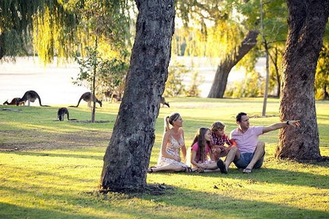 Full-Day Pinnacles Desert And Yanchep National Park Tour From Perth - Attractions Sydney 3