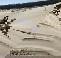 Port Stephens Bush Beach and Sand Dune 4WD Tag-Along Tour - Attractions Sydney