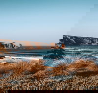 Private Phillip Island  Penguin Parade Hiking Tour from Melbourne - Attractions Sydney