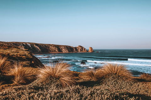 Small Group - Phillip Island Hike & Penguin Parade Day Tour From Melbourne - Attractions Sydney 0