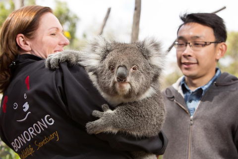 Bonorong Wildlife Park And Richmond Afternoon Tour From Hobart - Attractions Sydney 0
