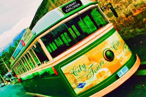Hobart Half-Day Sightseeing Coach Tram Tour - Attractions Sydney 5