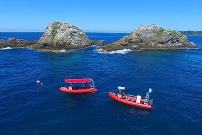 3-Hour Byron Bay Certified Scuba Diving Tour