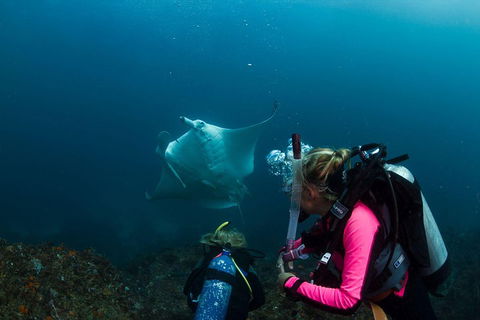 3-Hour Byron Bay Certified Scuba Diving Tour - Attractions Sydney 2