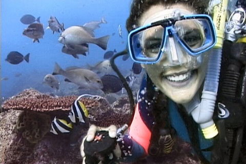 3-Hour Byron Bay Certified Scuba Diving Tour - Attractions Sydney 5
