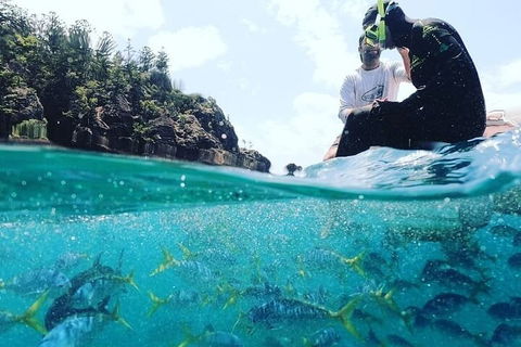 2 Night Small Group Whitsundays Sailing Adventure Aboard Mandrake - Attractions Sydney 5
