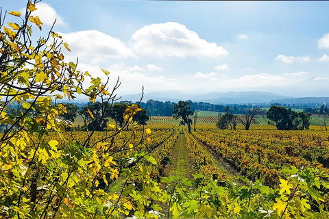 Yarra Valley Wine & Food Tour Departing From Melbourne - Attractions Sydney 4