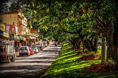 Fully Inclusive Blue Mountains Private Tour Inc Scenic World & Featherdale Entry - Attractions Sydney 0