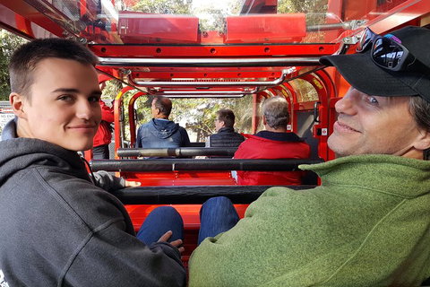 Fully Inclusive Blue Mountains Private Tour Inc Scenic World & Featherdale Entry - Attractions Sydney 1