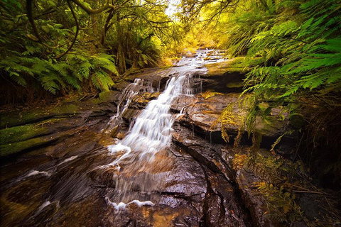 Fully Inclusive Blue Mountains Private Tour Inc Scenic World & Featherdale Entry - Attractions Sydney 3