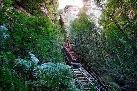 Fully Inclusive Blue Mountains Private Tour Inc Scenic World & Featherdale Entry - Attractions Sydney 4