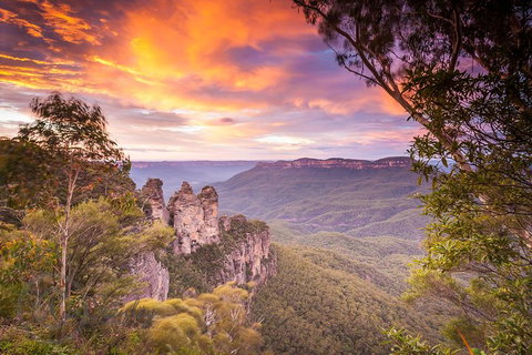 Fully Inclusive Blue Mountains Private Tour Inc Scenic World & Featherdale Entry - Attractions Sydney 5