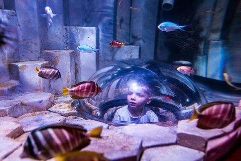 Melbourne BIG Ticket - LEGOLAND Discovery And SEA LIFE Melbourne - Attractions Sydney 5