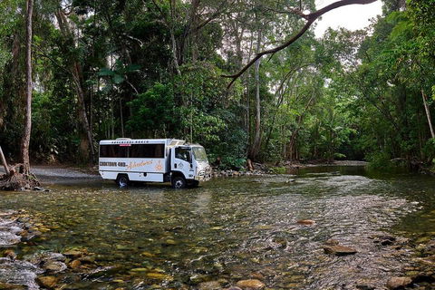 3 Day Cape Tribulation & Cooktown Tour From Cairns Or Port Douglas - Attractions Sydney 3