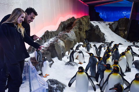 Penguin Passport At SEA LIFE Melbourne Aquarium - Attractions Sydney 0