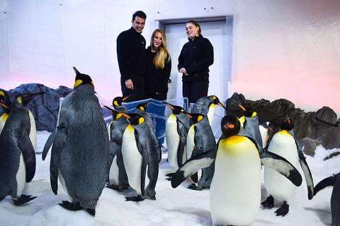 Penguin Passport At SEA LIFE Melbourne Aquarium - Attractions Sydney 4