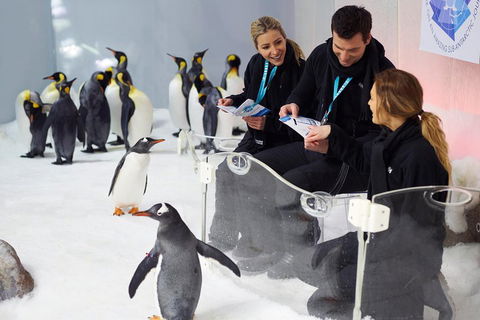 Penguin Passport At SEA LIFE Melbourne Aquarium - Attractions Sydney 5