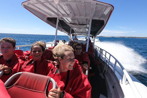 Adventure Rottnest Tour With Ferry & Adventure Cruise From Perth Or Fremantle - Attractions Sydney 0