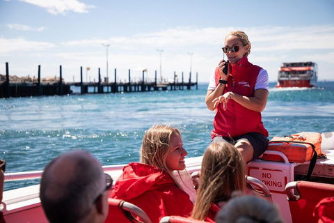 Adventure Rottnest Tour With Ferry & Adventure Cruise From Perth Or Fremantle - Attractions Sydney 4