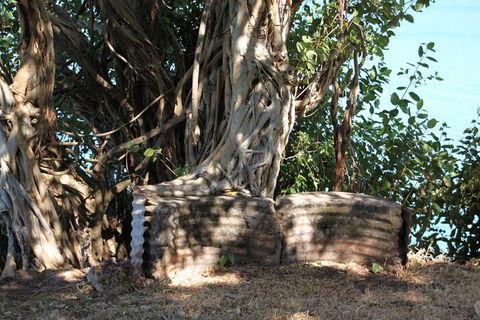 Darwin Walking Tour: World War II Reflections - Attractions Sydney 3