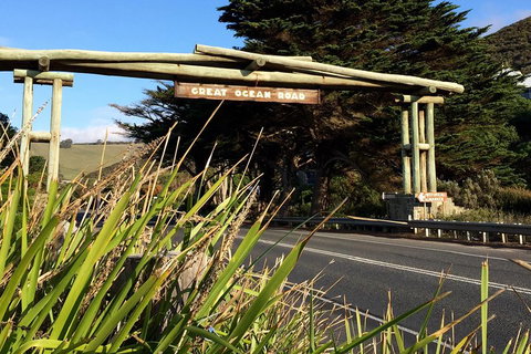 2-Day Great Ocean Road, Mornington Peninsula And Phillip Island Tour - Attractions Sydney 4