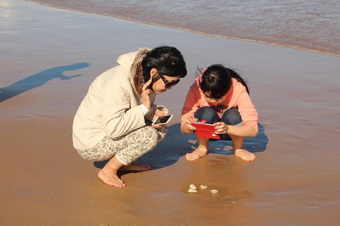 Beach & Dune - Attractions Sydney 2
