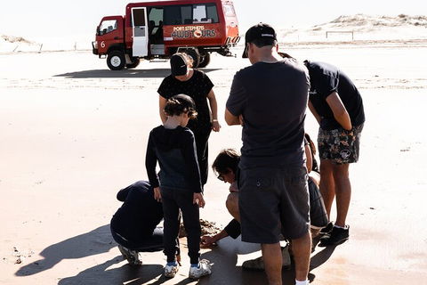 Beach & Dune - Attractions Sydney 3