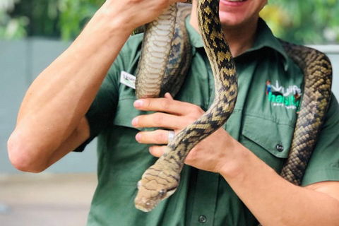 Virtual Interactive Australian Wildlife Tour With Private Guide-Wildlife Habitat - Attractions Sydney 1