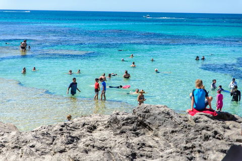 Rottnest Island Roundtrip Fast Ferry From Hillarys Boat Harbour - Attractions Sydney 1