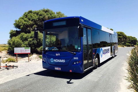 Rottnest Bayseeker Bus Tour From Hillarys Boat Harbour - Attractions Sydney 0