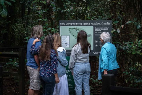 Sunshine Coast Hinterland And Noosa Day Trip From Brisbane Including Eumundi Markets And Ginger Factory - Attractions Sydney 0