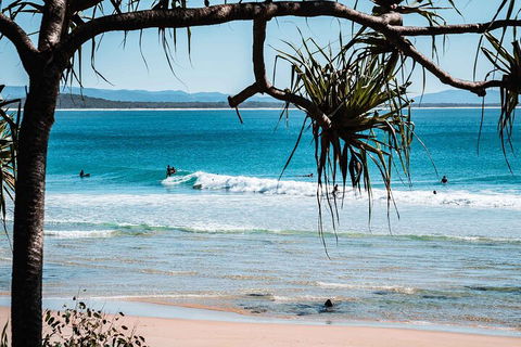 Sunshine Coast Hinterland And Noosa Day Trip From Brisbane Including Eumundi Markets And Ginger Factory - Attractions Sydney 5